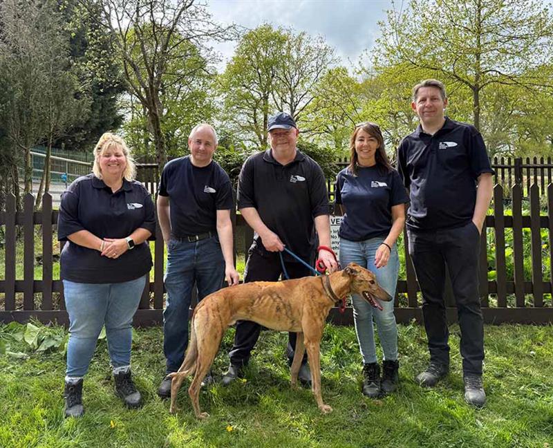 Volunteers join busy animal rescue centre to help heartbroken hounds